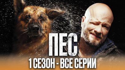 сериал Пес