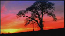 ХОЧЕШЬ? Земфира ПРОСТИ МЕНЯ МОЯ ЛЮБОВЬ