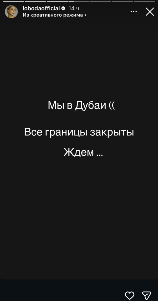 IMG_8040