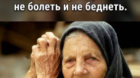 IMG_0657